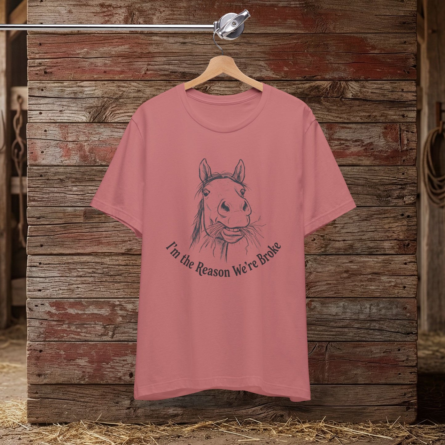 I’m the Reason – Funny Tee