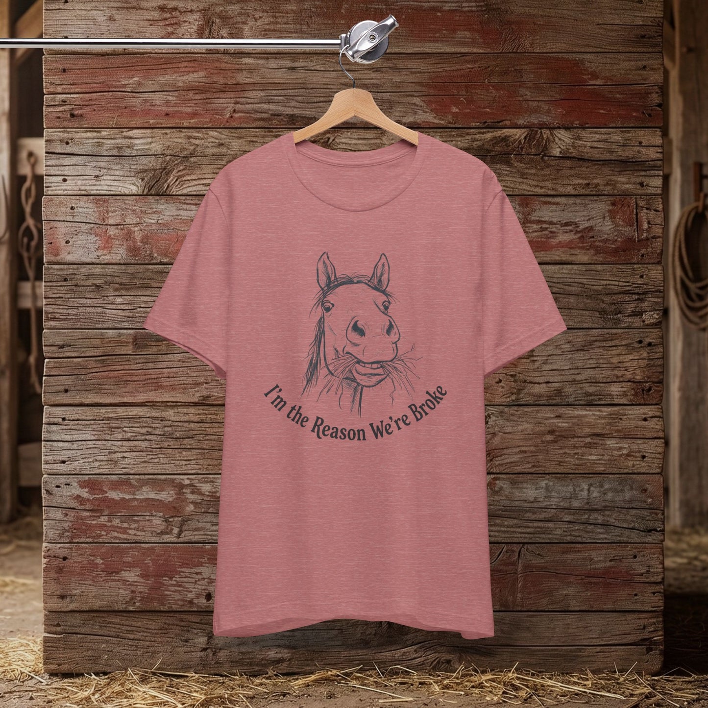 I’m the Reason – Funny Tee