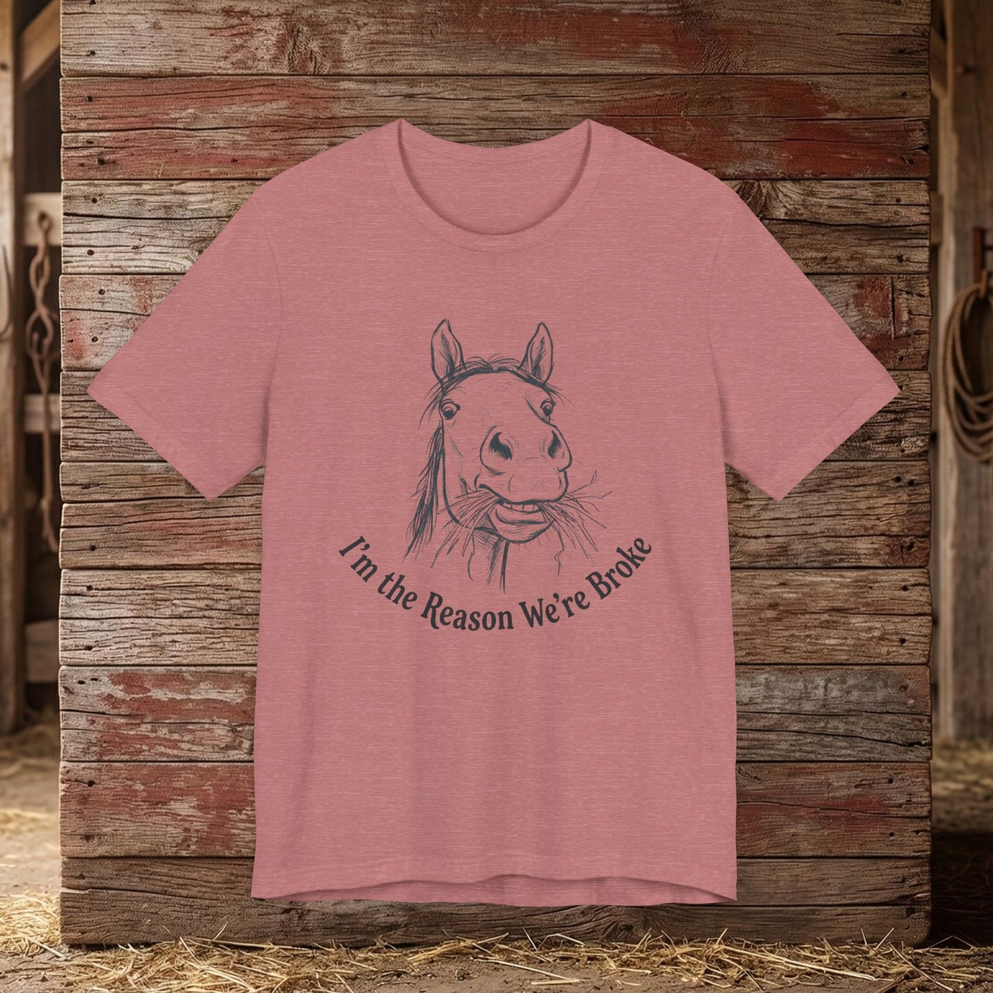 I’m the Reason – Funny Tee
