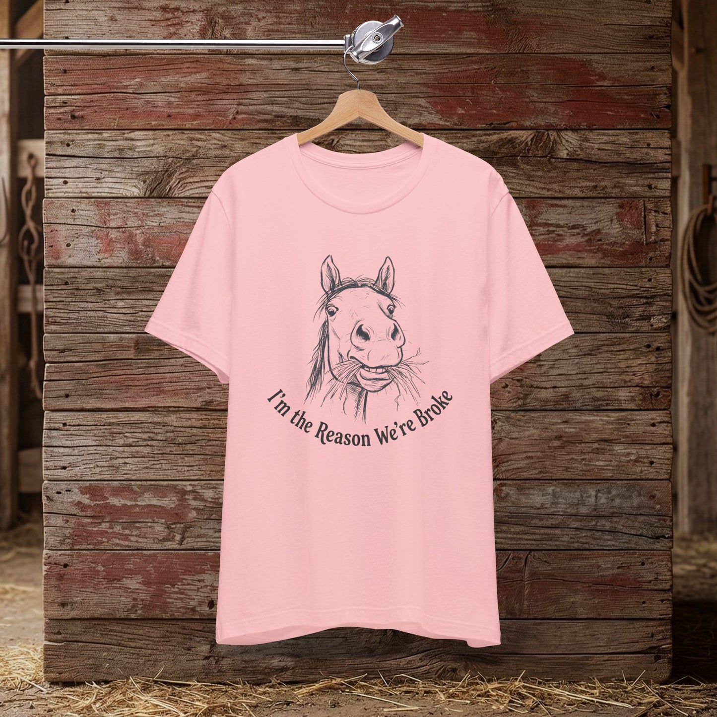 I’m the Reason – Funny Tee